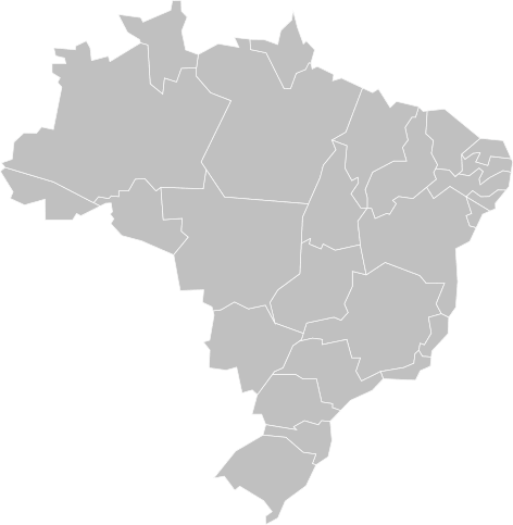 Gif Mapa do Brasil piscando de estado em estado na cor verde
